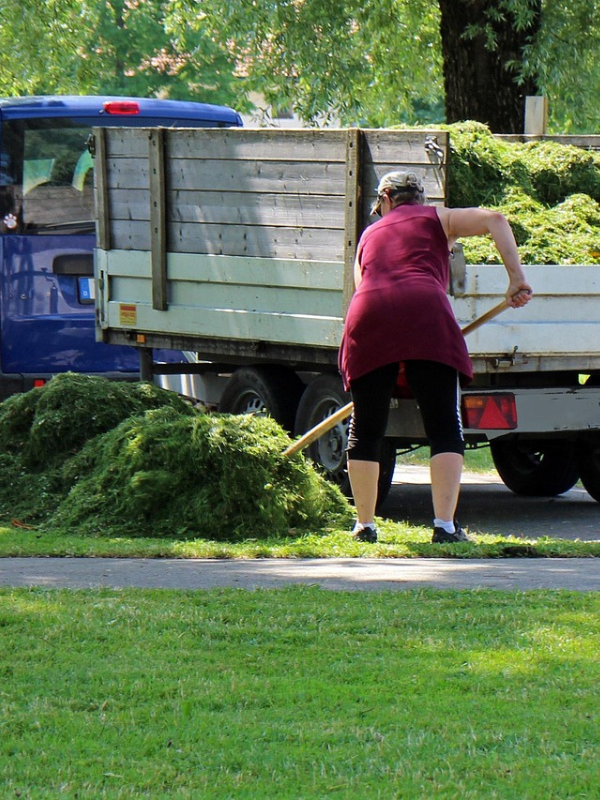 6 Landscapers